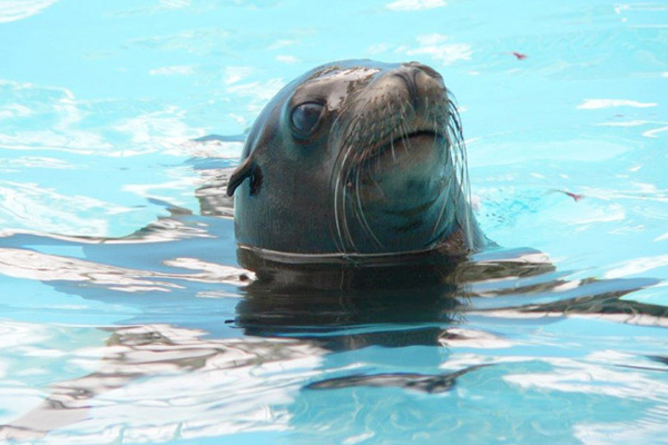 長野市城山動物園