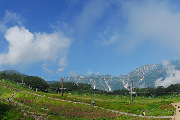 白馬五竜高山植物園