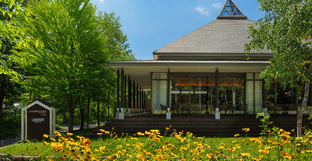 【春特集】Colorful Nature Experience