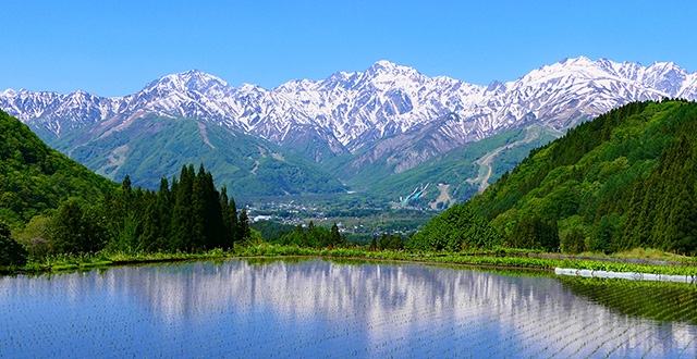 【夏特集】Colorful Nature Experience