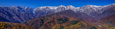 【秋特集】Paint your Autumn Journey