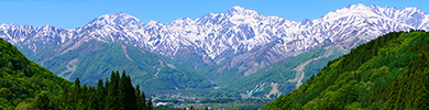 【夏特集】Colorful Nature Experience