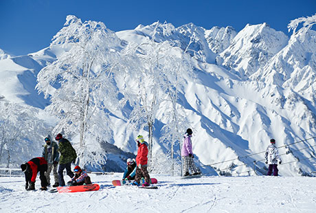 Hakuba Iwatake Snow Field